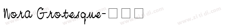 Nora Grotesque字体转换